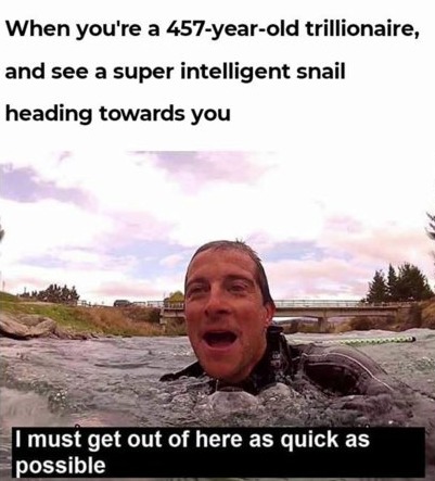 When you're a 457-year-old trillionaire, and see a super intelligent snail heading towards you. I must get out of here as quick as possible.
