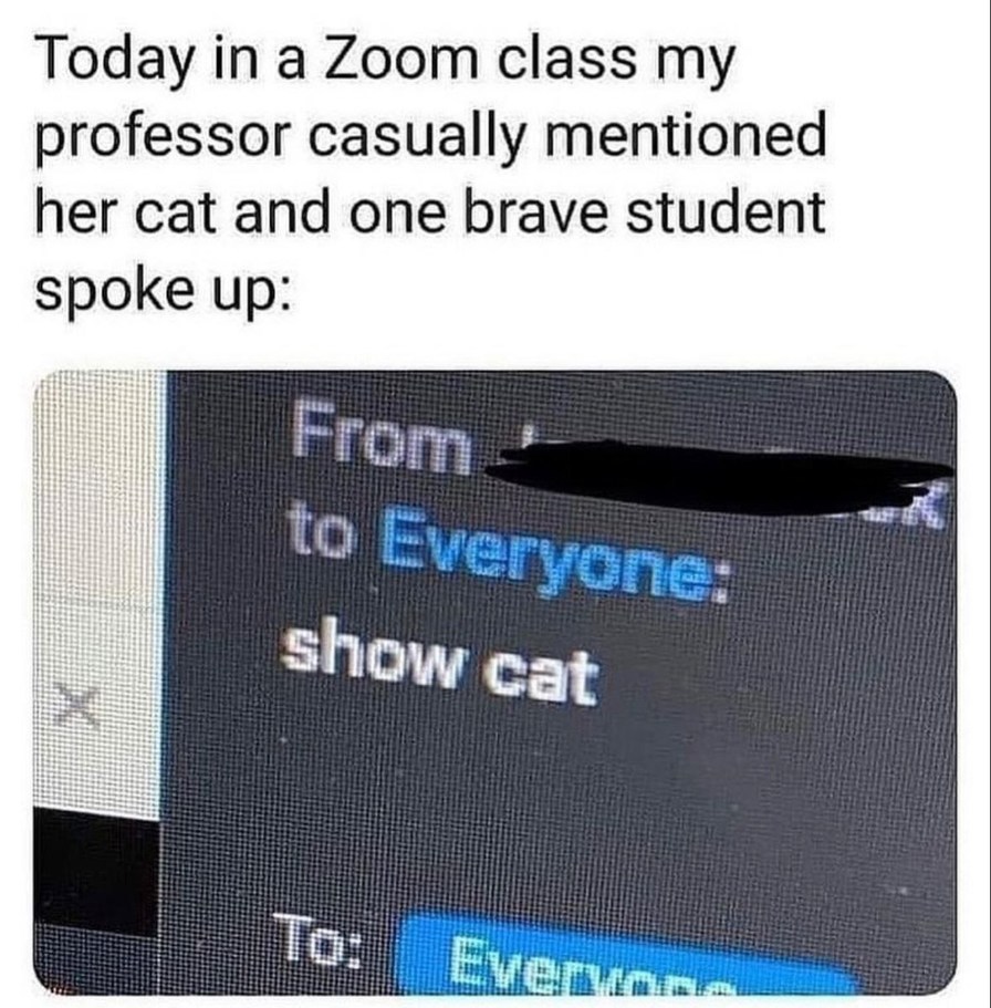 Today in a Zoom class my professor casually mentioned her cat and one brave student spoke up: From to Everyone: show cat To: Everyone