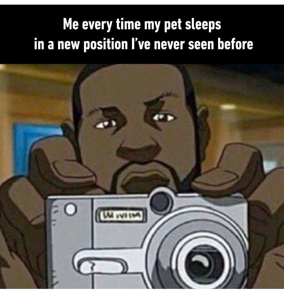 Me every time my pet sleeps in a new position I've never seen before
