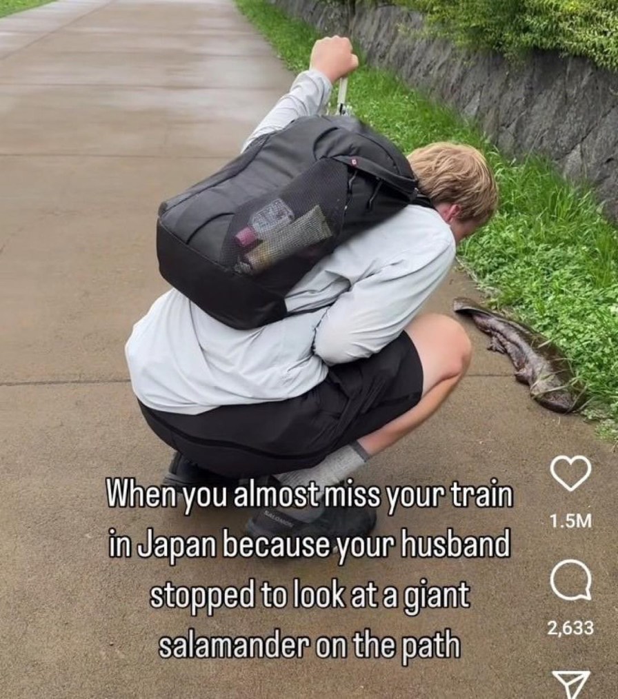 When you almost miss your train in Japan because your husband stopped to look at a giant salamander on the path