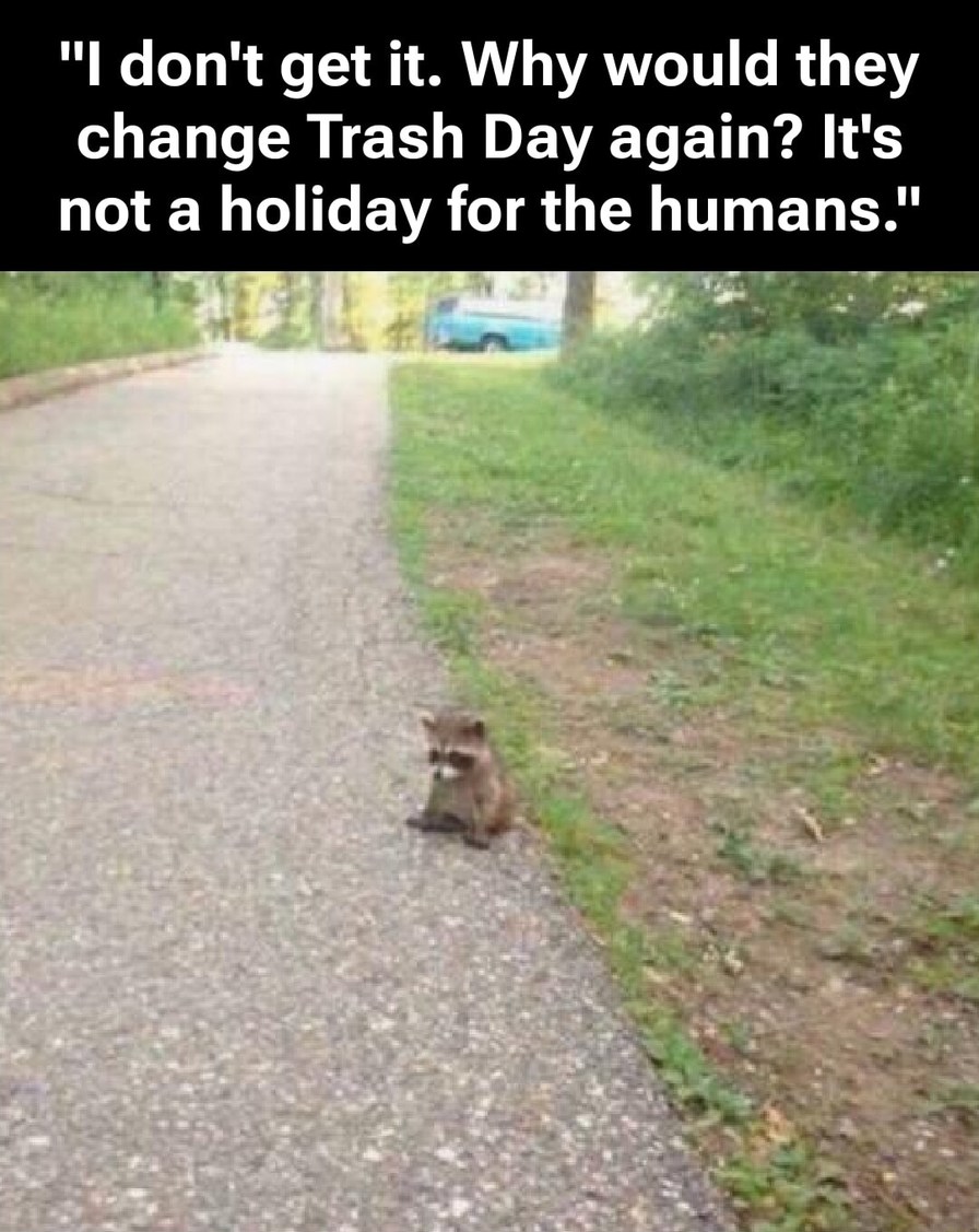 I don't get it. Why would they change Trash Day again? It's not a holiday for the humans.