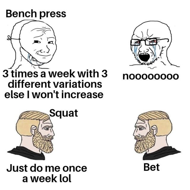 Bench press: 3 times a week with 3 different variations else I won't increase. nooooooooo. Squat: Just do me once a week lol. Bet.