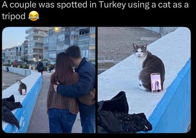 A couple was spotted in Turkey using a cat as a tripod 😂