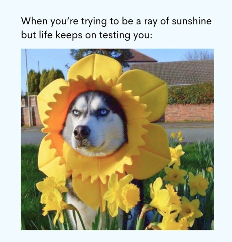 When you're trying to be a ray of sunshine but life keeps on testing you: