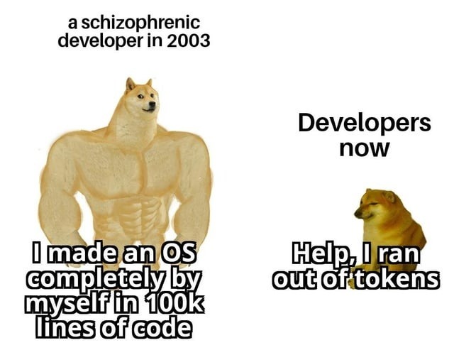 a schizophrenic developer in 2003 I made an OS completely by myself in 100k lines of code Developers now Help, I ran out of tokens