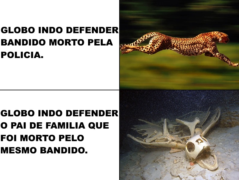 GLOBO INDO DEFENDER BANDIDO MORTO PELA POLICIA. GLOBO INDO DEFENDER O PAI DE FAMILIA QUE FOI MORTO PELO MESMO BANDIDO.
