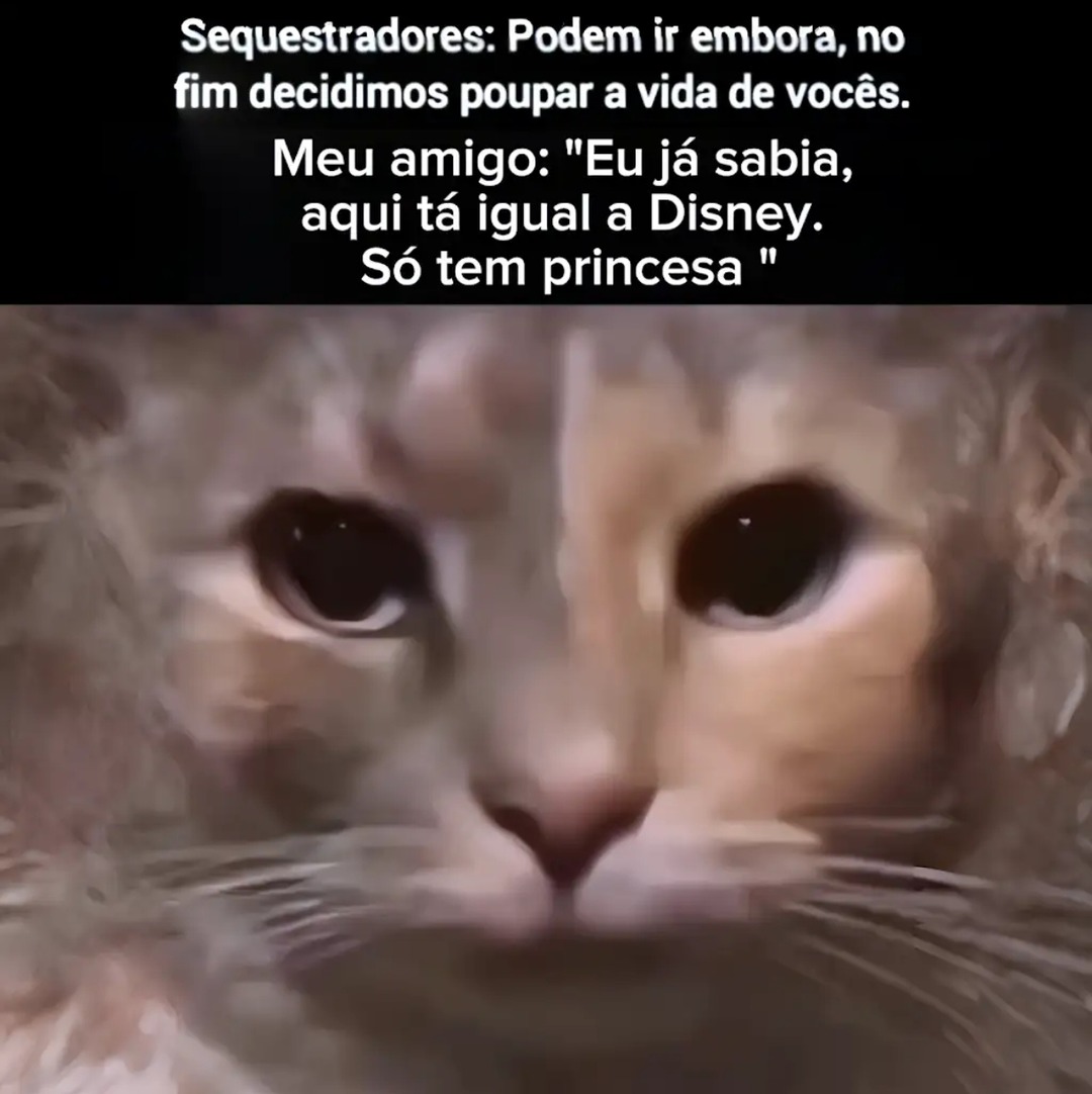 Sequestradores: Podem ir embora, no fim decidimos poupar a vida de vocês. Meu amigo: 