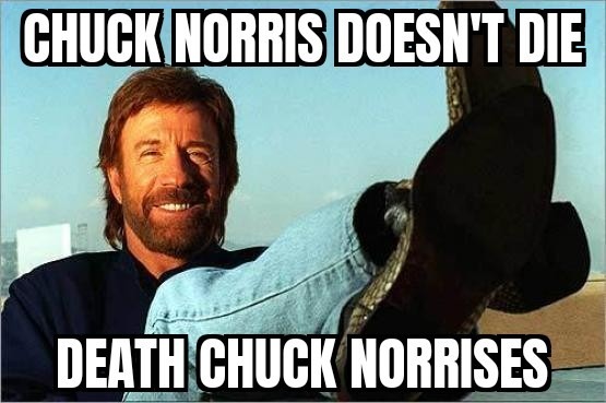 CHUCK NORRIS DOESN'T DIE DEATH CHUCK NORRISES
