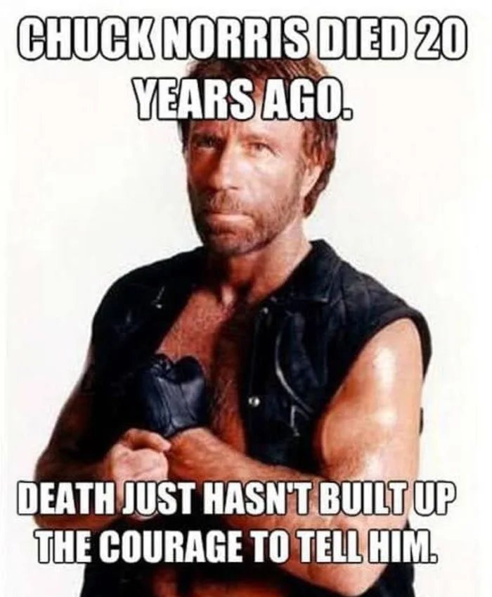 CHUCK NORRIS DIED 20 YEARS AGO. DEATH JUST HASN'T BUILT UP THE COURAGE TO TELL HIM.