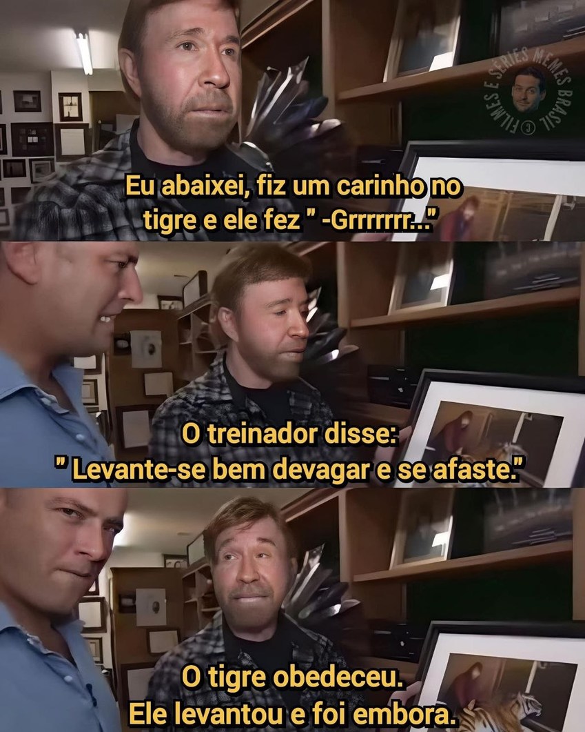 Eu abaixei, fiz um carinho no tigre e ele fez 