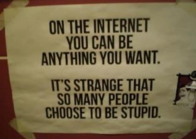 ON THE INTERNET YOU CAN BE ANYTHING YOU WANT. IT'S STRANGE THAT SO MANY PEOPLE CHOOSE TO BE STUPID.