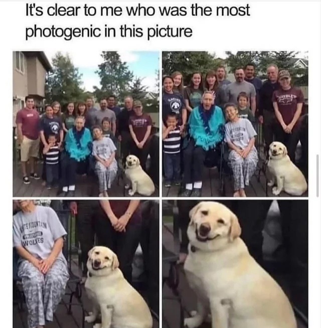 It's clear to me who was the most photogenic in this picture