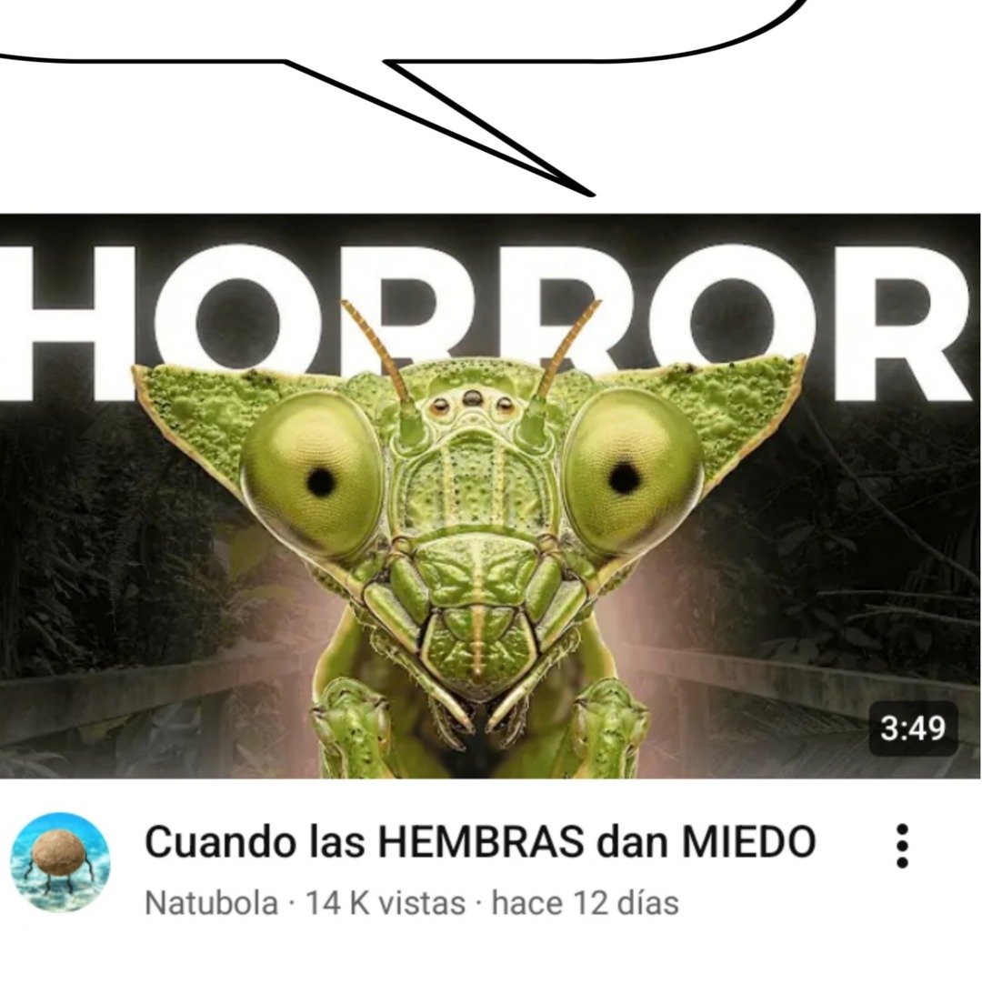 HORROR Cuando las HEMBRAS dan MIEDO