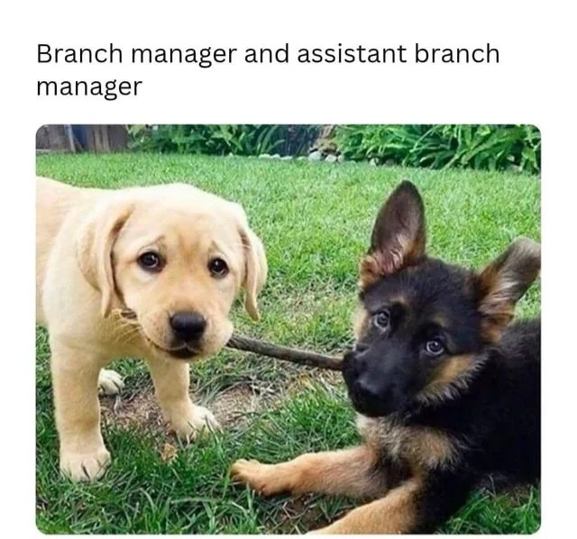 Branch manager and assistant branch manager