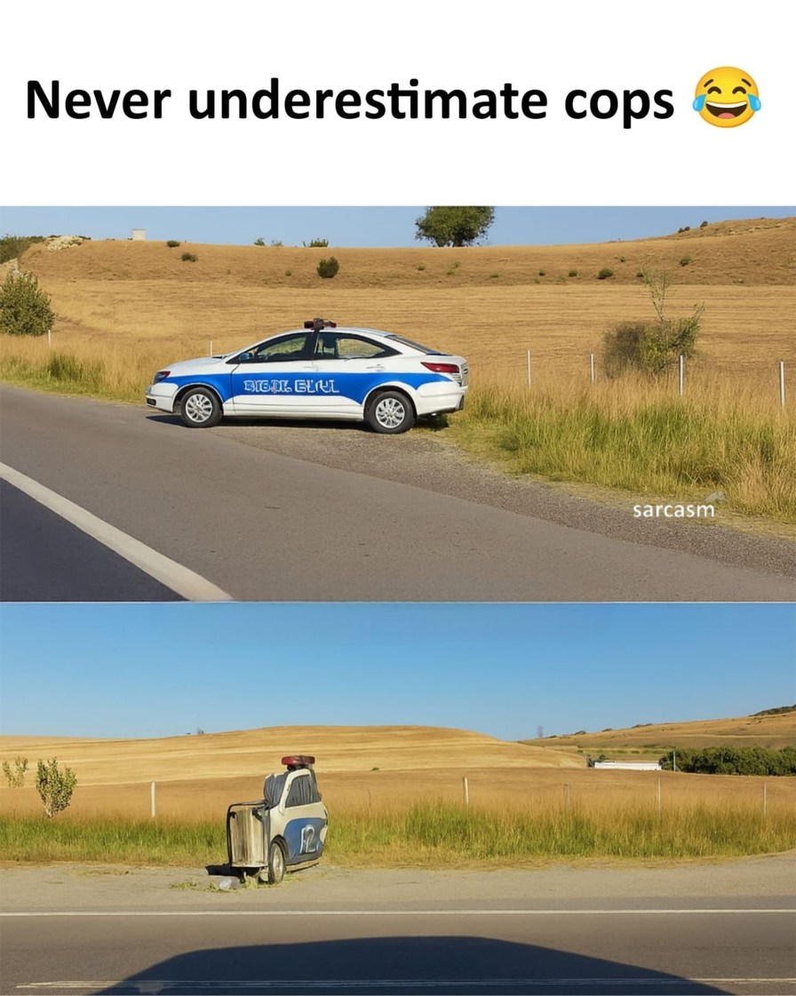 Never underestimate cops sarcasm