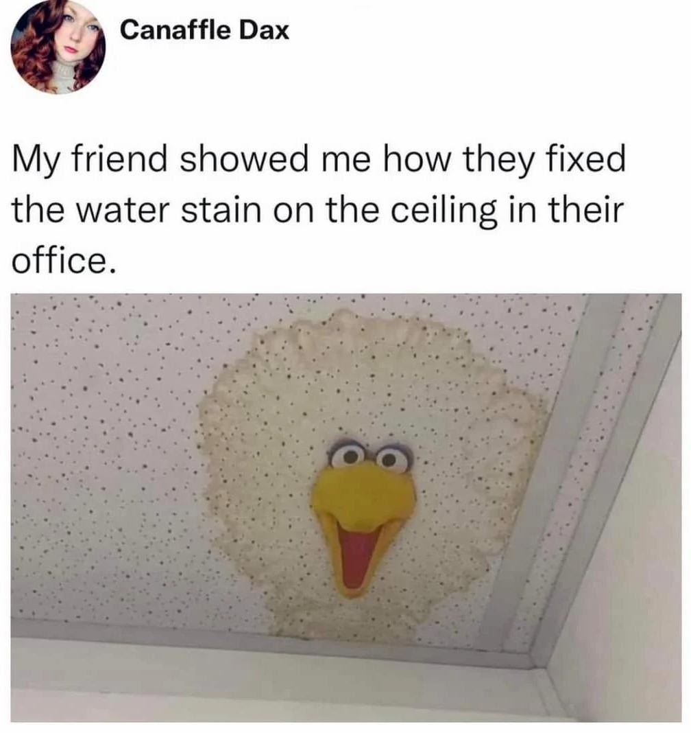 Canaffle Dax My friend showed me how they fixed the water stain on the ceiling in their office.