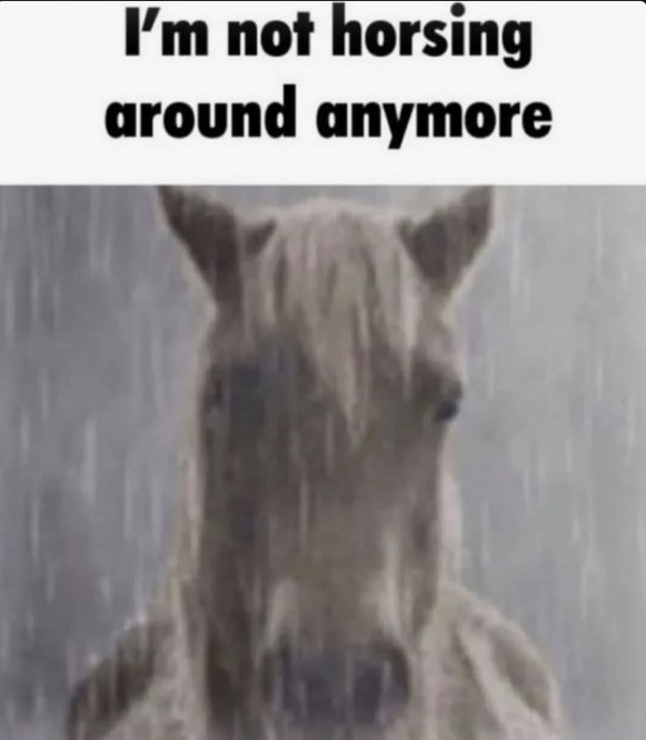 I'm not horsing around anymore