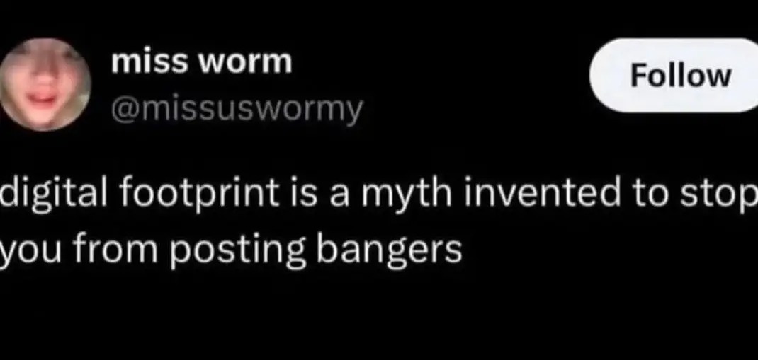 miss worm @missuswormy Follow digital footprint is a myth invented to stop you from posting bangers