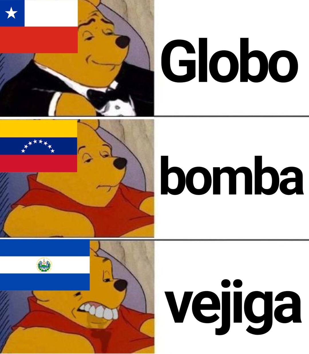 Globo bomba vejiga