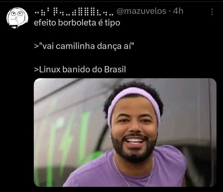 efeito borboleta é tipo vai camilinha dança aí Linux banido do Brasil