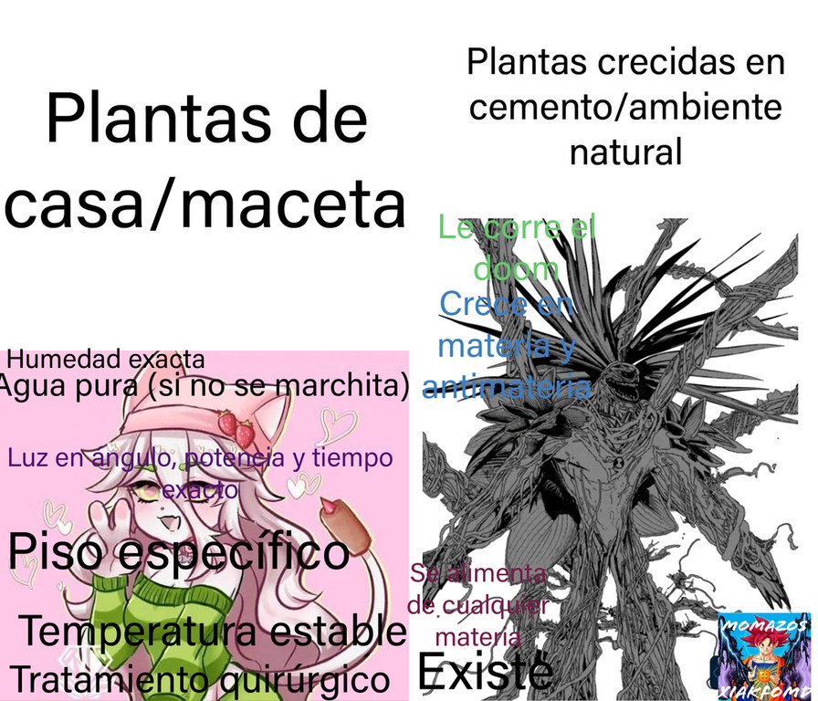 Plantas de casa/maceta. Humedad exacta. Agua pura (si no se marchita). Luz en ángulo, potencia y tiempo exacto. Piso específico. Temperatura estable. Tratamiento quirúrgico. Plantas crecidas en cemento/ambiente natural. Le borra el doom. Crece en materia y antimateria. Se alimenta de cualquier materia. Existe.