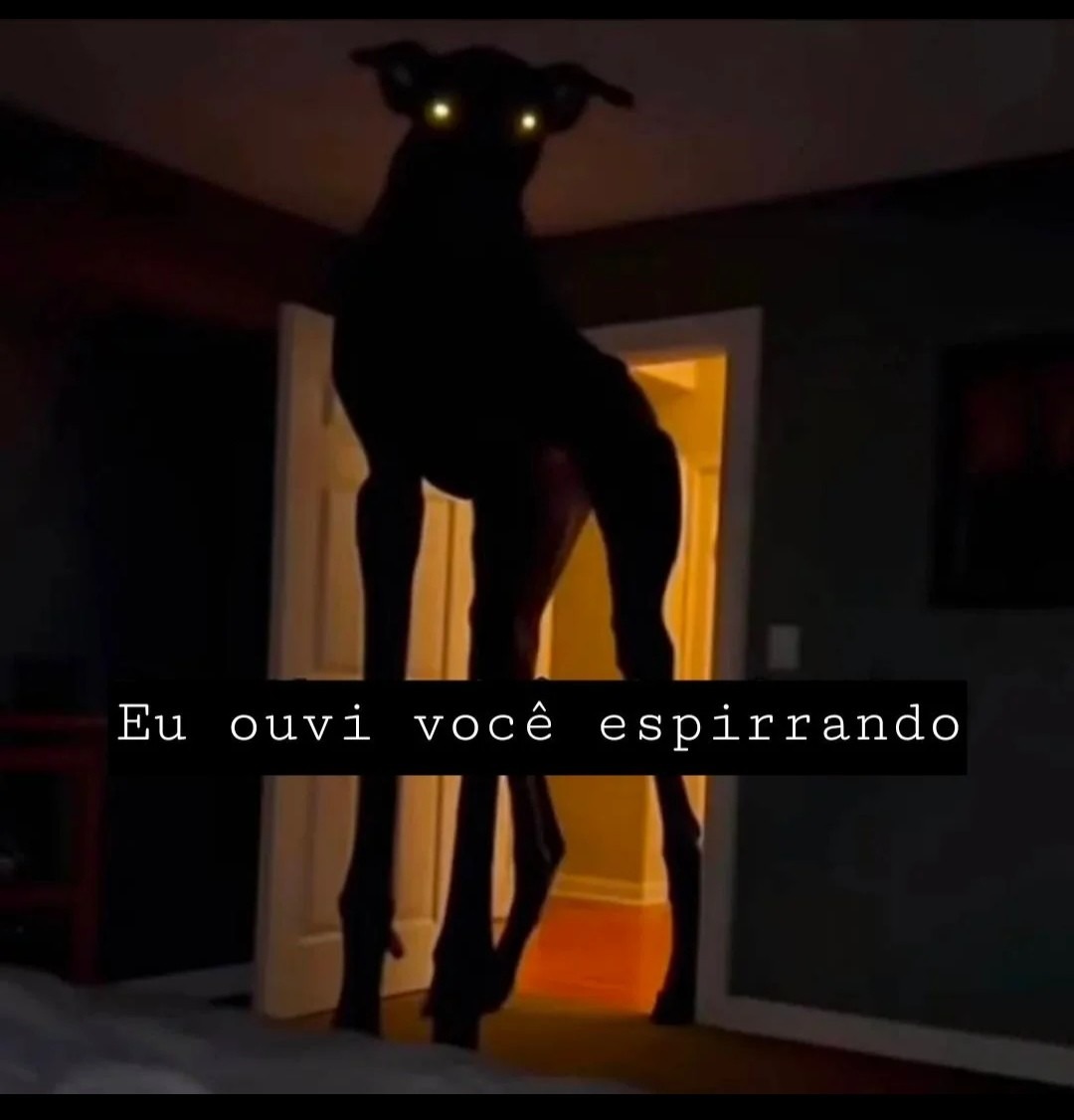Eu ouvi você espirrando