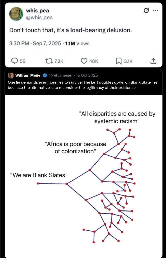 Don't touch that, it's a load-bearing delusion. One lie demands ever more lies to survive. The Left doubles down on Blank Slate lies because the alternative is to reconsider the legitimacy of their existence. All disparities are caused by systemic racism. Africa is poor because of colonization. We are Blank Slates.