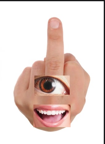 Mano haciendo un gesto ofensivo (dedo medio levantado) con un ojo y una boca superpuestos, creando una cara. Es un juego de palabras visual.