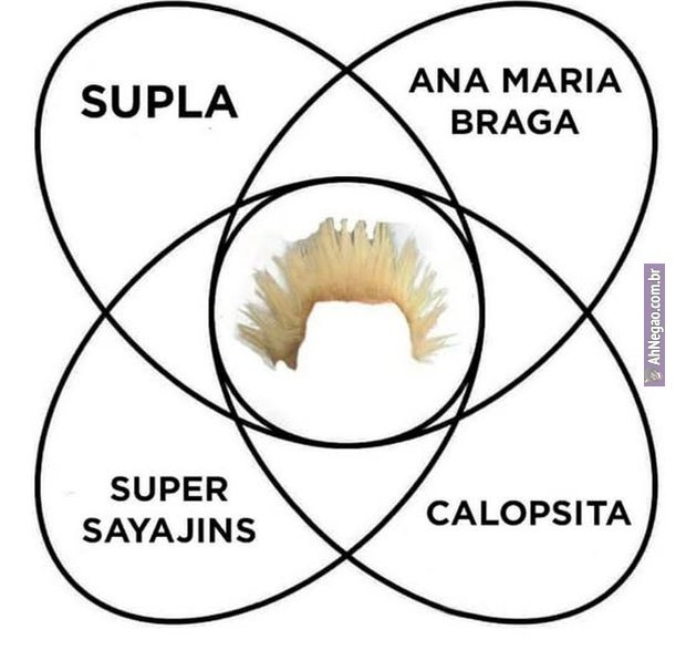 SUPLA ANA MARIA BRAGA SUPER SAYAJINS CALOPSITA