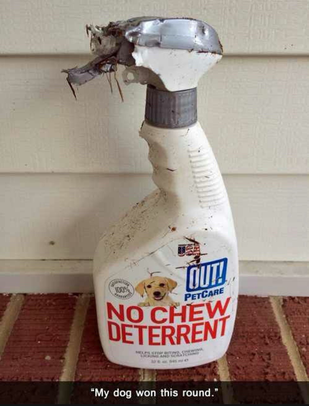 OUT! PETCARE NO CHEW DETERRENT. My dog won this round.