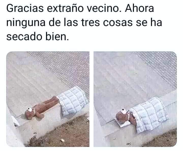 Gracias extraño vecino. Ahora ninguna de las tres cosas se ha secado bien.