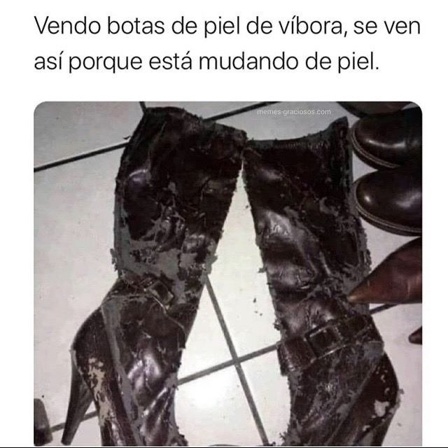 Vendo botas de piel de víbora, se ven así porque está mudando de piel.
