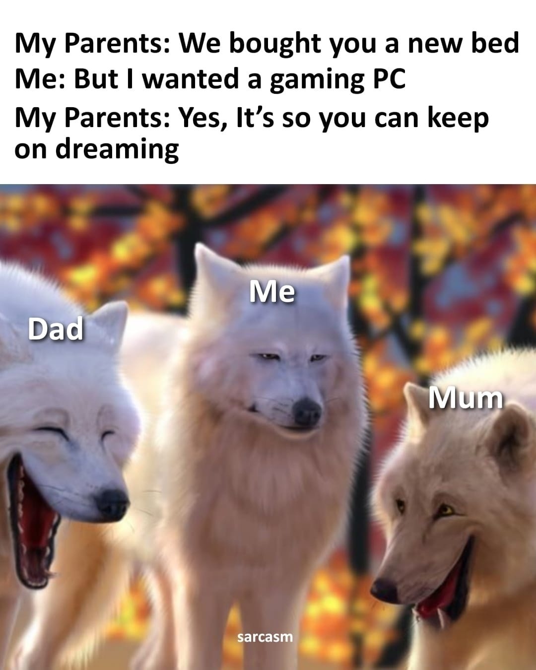 My Parents: We bought you a new bed Me: But I wanted a gaming PC My Parents: Yes, It's so you can keep on dreaming sarcasm Dad Me Mum