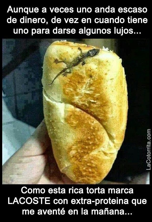 Aunque a veces uno anda escaso de dinero, de vez en cuando tiene uno para darse algunos lujos... Como esta rica torta marca LACOSTE con extra-proteína que me aventé en la mañana...