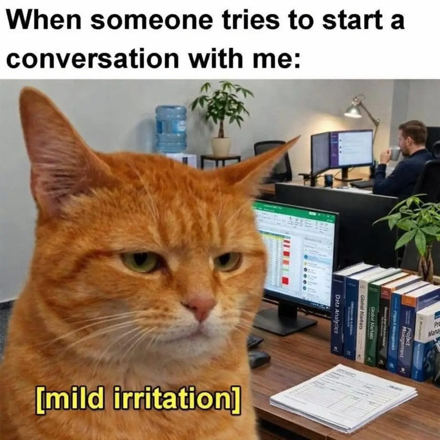 When someone tries to start a conversation with me: [mild irritation]