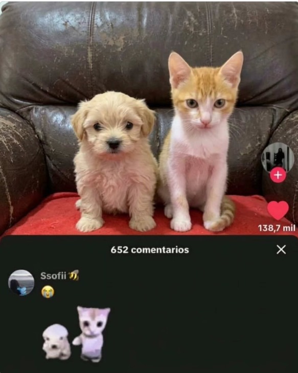 652 comments 138.7 thousand Ssofii