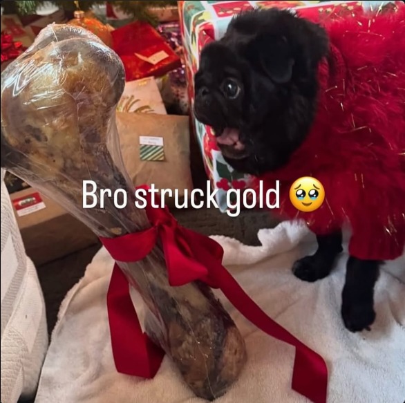 Bro struck gold 🥺