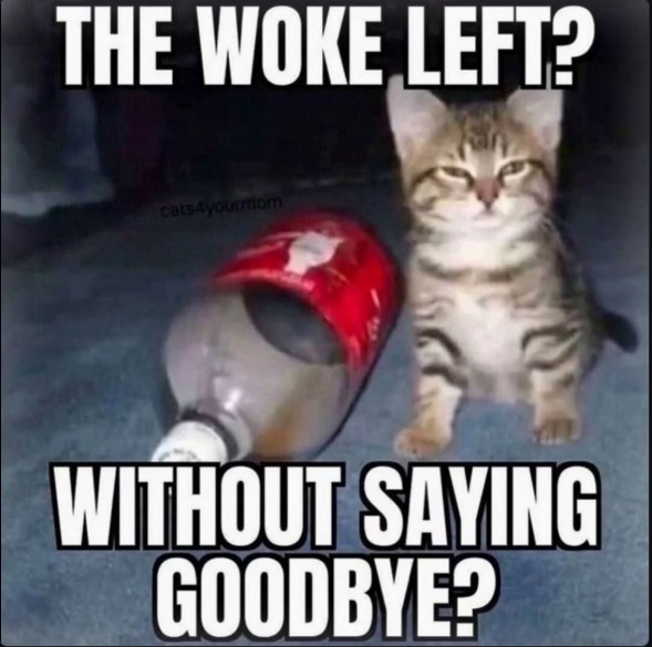 THE WOKE LEFT? WITHOUT SAYING GOODBYE? cats4youmom