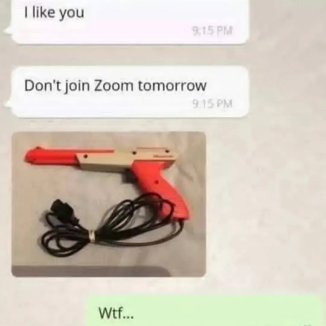 I like you. Don't join Zoom tomorrow. Wtf...