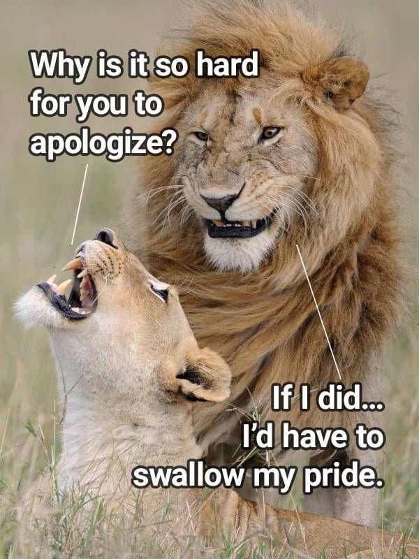 Why is it so hard for you to apologize? If I did... I'd have to swallow my pride.