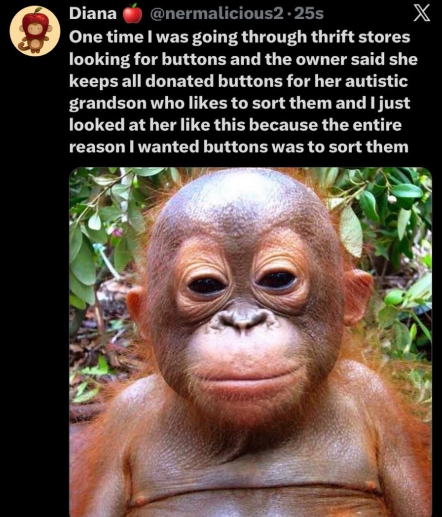 One time I was going through thrift stores looking for buttons and the owner said she keeps all donated buttons for her autistic grandson who likes to sort them and I just looked at her like this because the entire reason I wanted buttons was to sort them