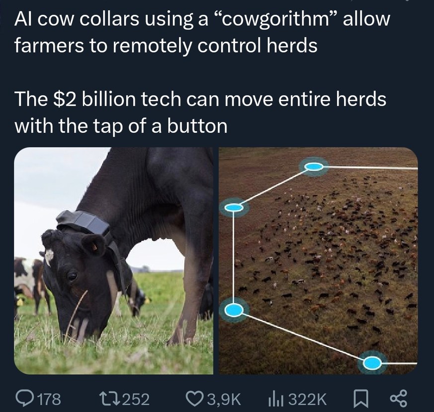 AI cow collars using a 
