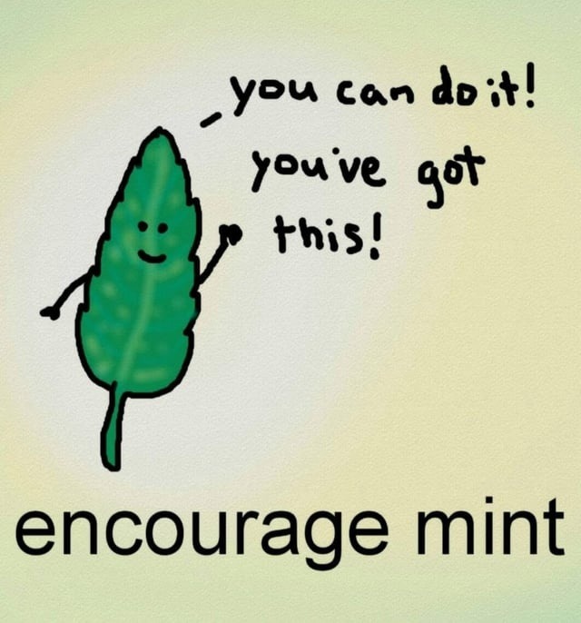 you can do it! you've got this! encourage mint