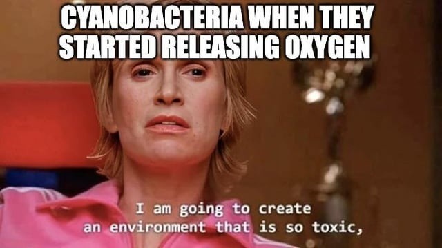 CYANOBACTERIA WHEN THEY STARTED RELEASING OXYGEN I am going to create an environment that is so toxic,