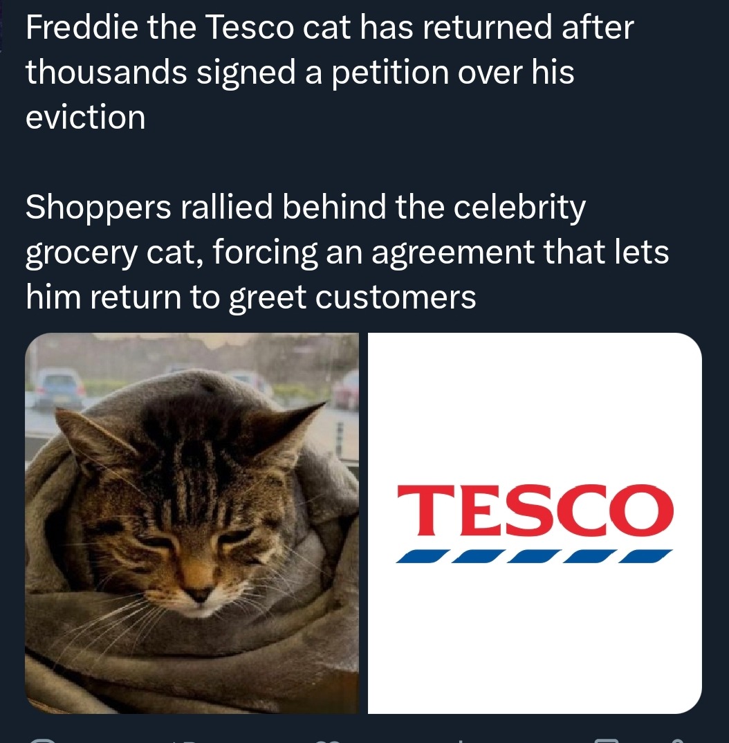 Freddie the Tesco cat has returned after thousands signed a petition over his eviction. Shoppers rallied behind the celebrity grocery cat, forcing an agreement that lets him return to greet customers.