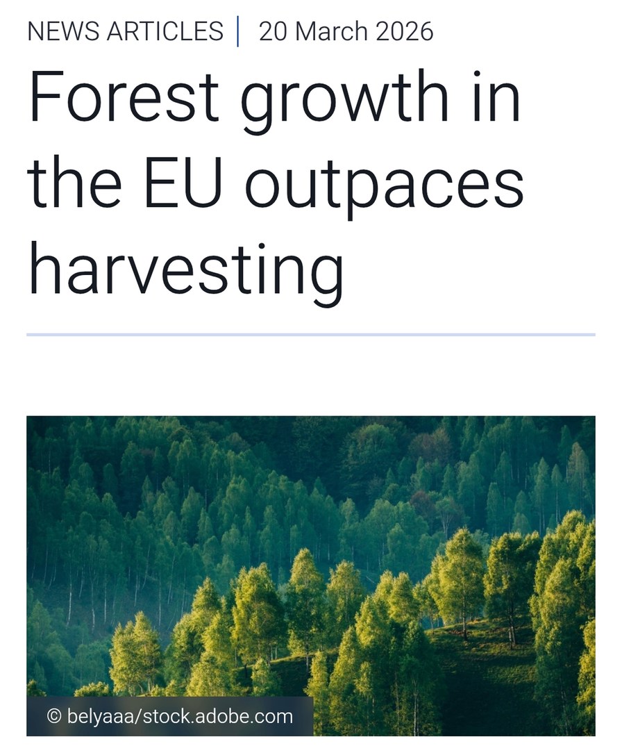 NEWS ARTICLES | 20 March 2026 Forest growth in the EU outpaces harvesting © belyaaa/stock.adobe.com