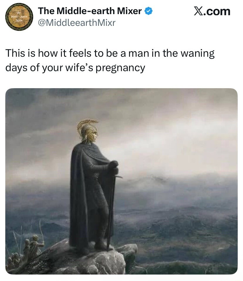 The Middle-earth Mixer @MiddleearthMixr X.com This is how it feels to be a man in the waning days of your wife's pregnancy