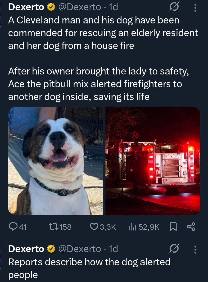 Dexerto @Dexerto 1d A Cleveland man and his dog have been commended for rescuing an elderly resident and her dog from a house fire. After his owner brought the lady to safety, Ace the pitbull mix alerted firefighters to another dog inside, saving its life. Dexerto @Dexerto 1d Reports describe how the dog alerted people.