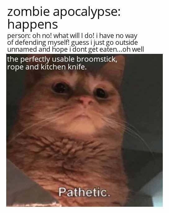 zombie apocalypse: happens person: oh no! what will I do! i have no way of defending myself! guess i just go outside unnamed and hope i dont get eaten...oh well the perfectly usable broomstick, rope and kitchen knife. Pathetic.