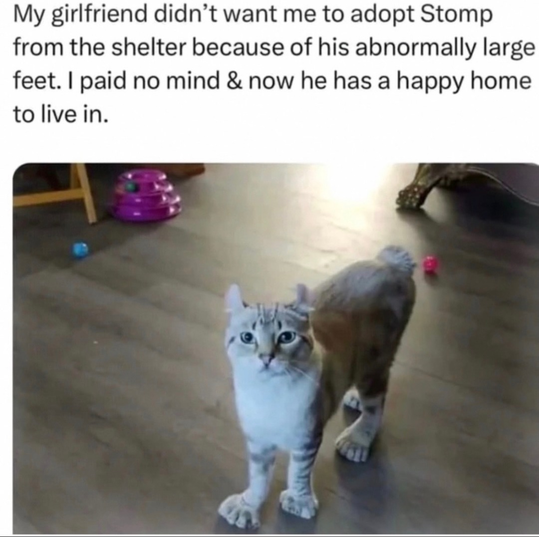My girlfriend didn't want me to adopt Stomp from the shelter because of his abnormally large feet. I paid no mind & now he has a happy home to live in.